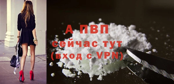 молекула духа Абинск