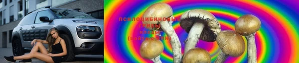 гидра Алексин