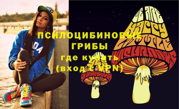 PSILOCYBIN Абдулино