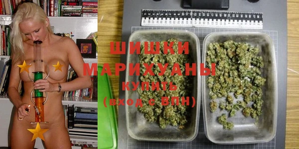 PSILOCYBIN Абдулино