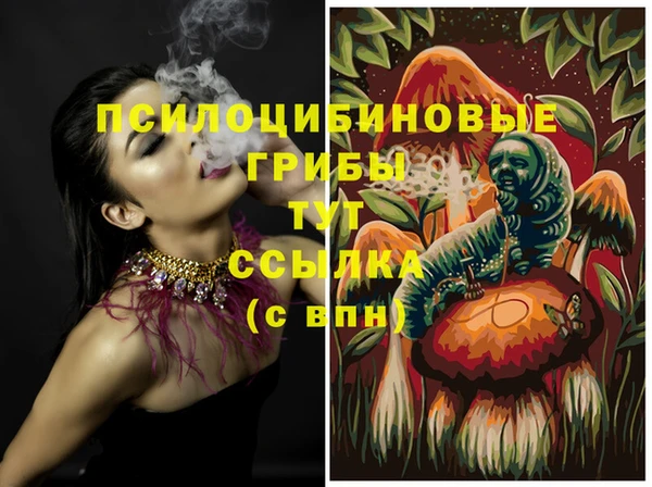 молекула духа Абинск