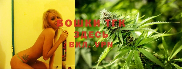 молекула духа Абинск