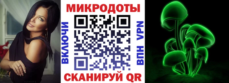 МЕГА зеркало  Элиста  Галлюциногенные грибы Psilocybine cubensis 